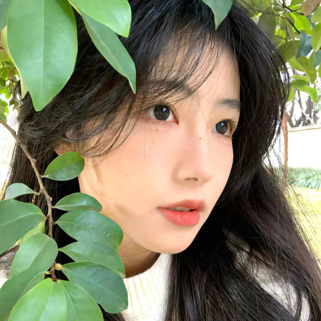 危险动物
